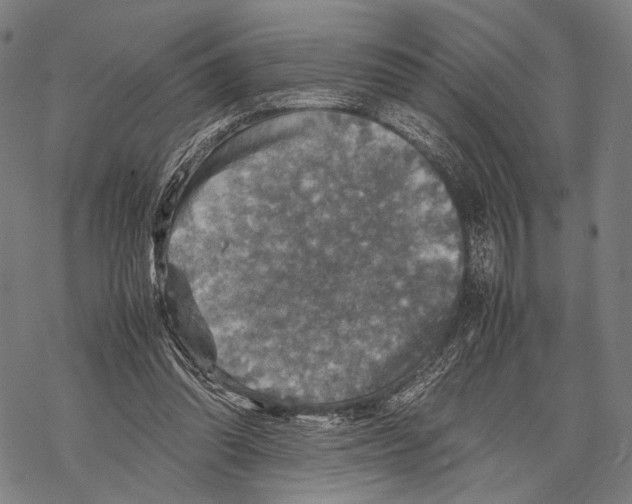 X0000067460302200605051628