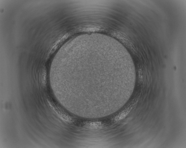 X0000067460304200605051628