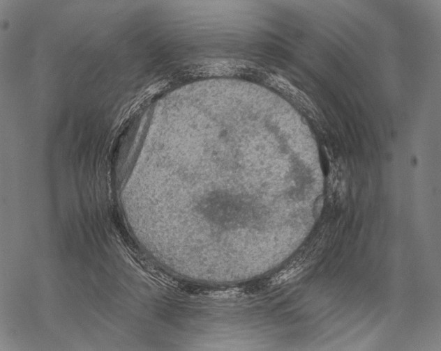 X0000067460306200605051628