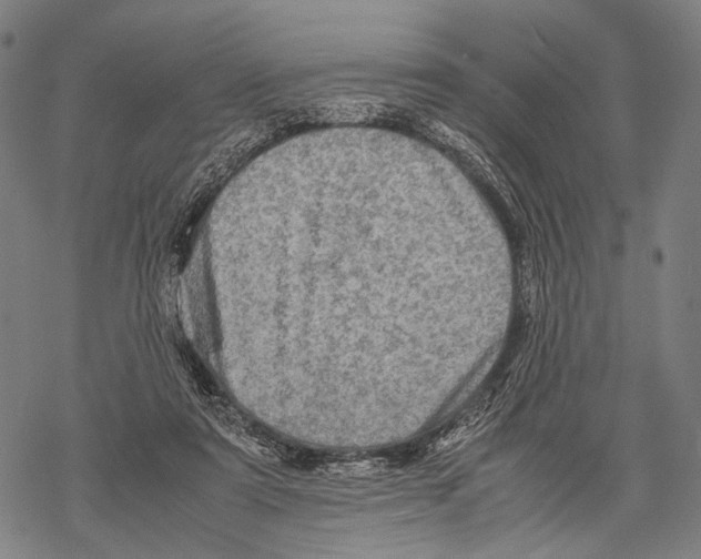 X0000067460307200605051628