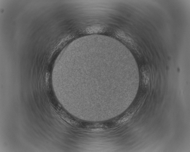 X0000067460308200605051628