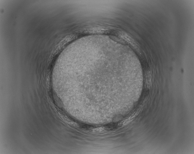 X0000067460309200605051628