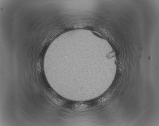 X0000067460311200605051628