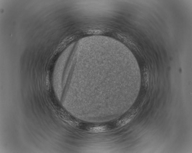 X0000067460312200605051628