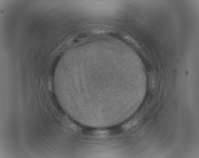 X0000067460313200605051628