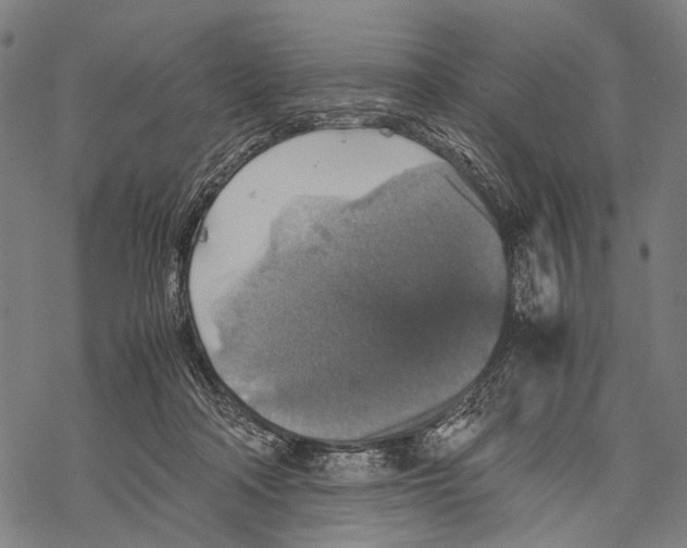 X0000067460314200605051628