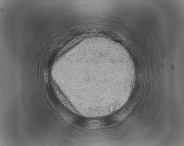 X0000067460315200605051628