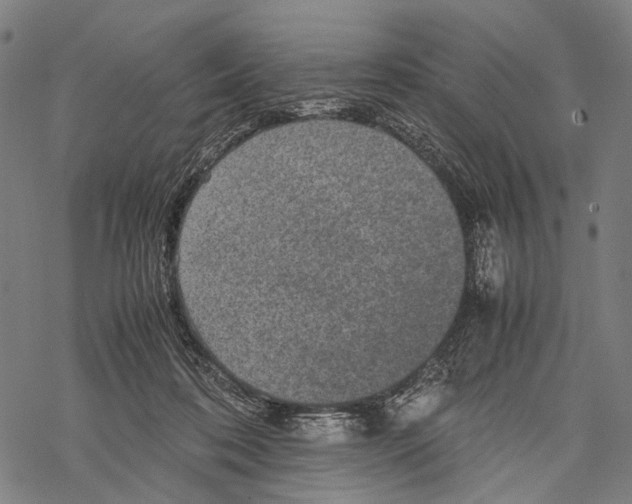 X0000067460316200605051628