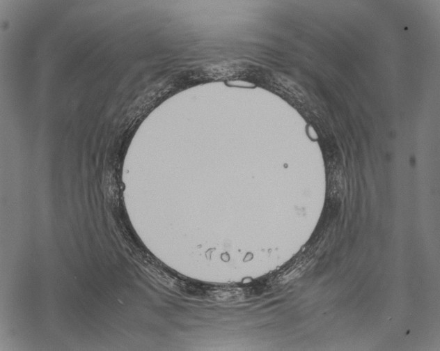 X0000067460317200605051628