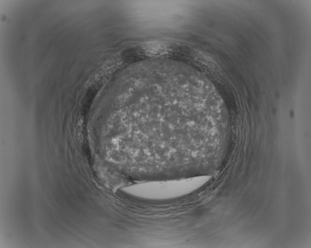 X0000067460319200605051628