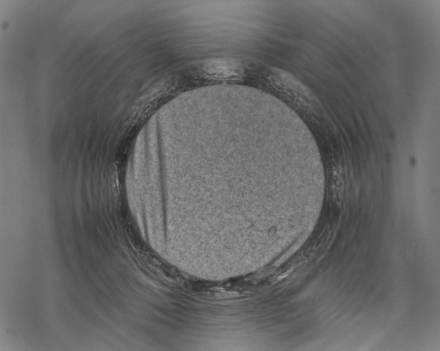 X0000067460320200605051628