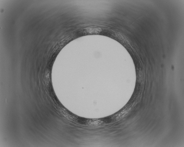 X0000067460321200605051628