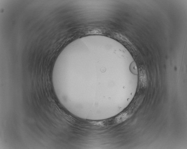 X0000067460322200605051628