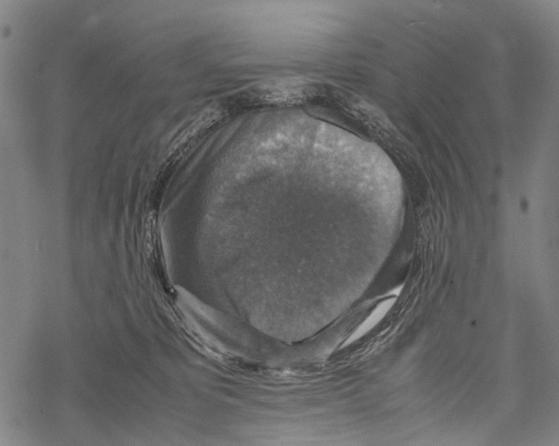 X0000067460325200605051628