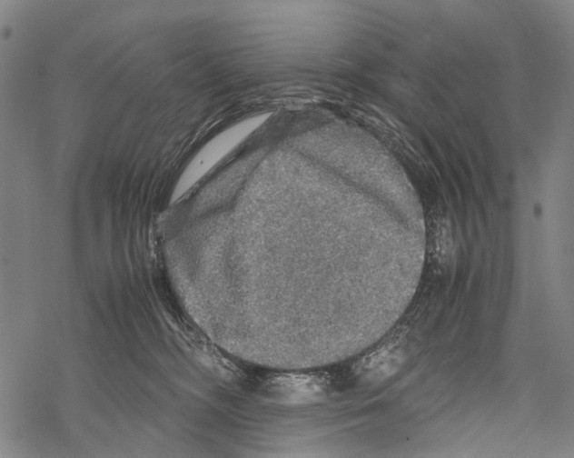 X0000067460326200605051628