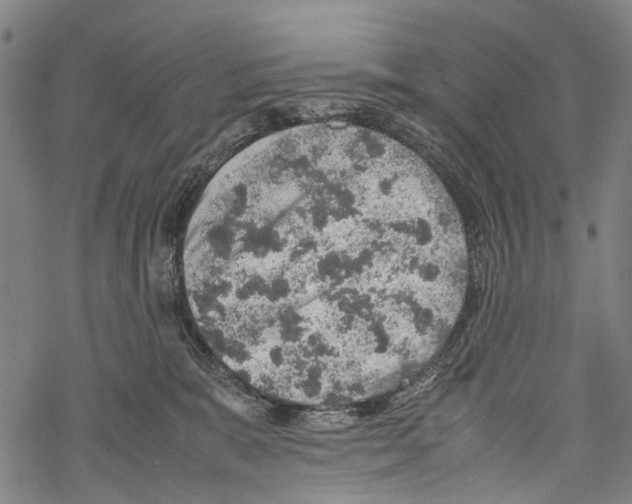 X0000067460327200605051628