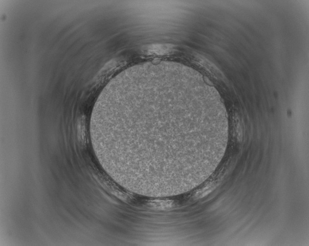 X0000067460328200605051628