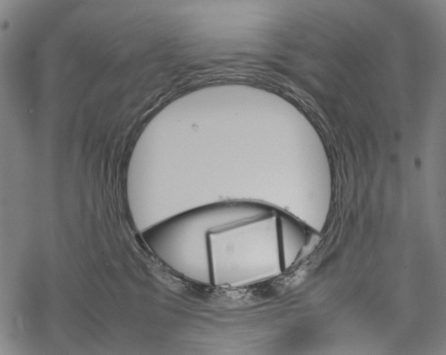 X0000067460329200605051628