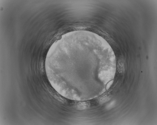 X0000067460330200605051628