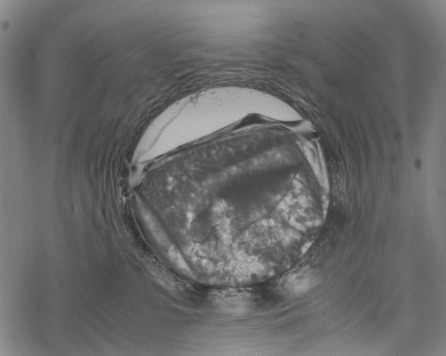 X0000067460331200605051628