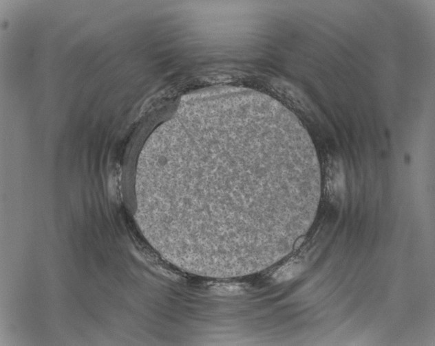 X0000067460332200605051628