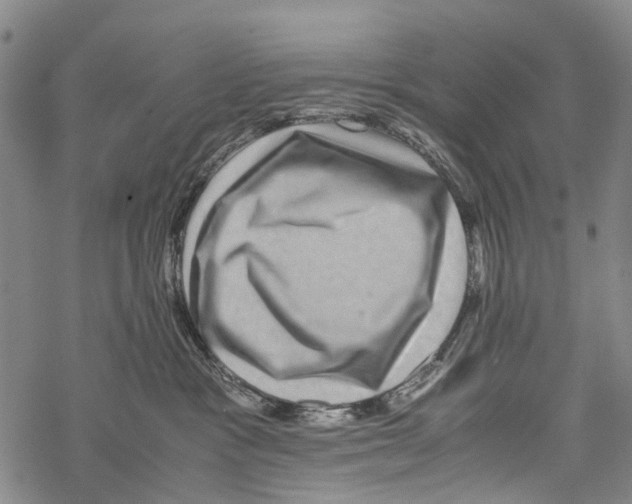 X0000067460333200605051628