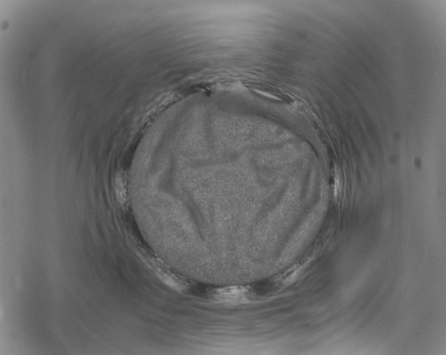 X0000067460335200605051628