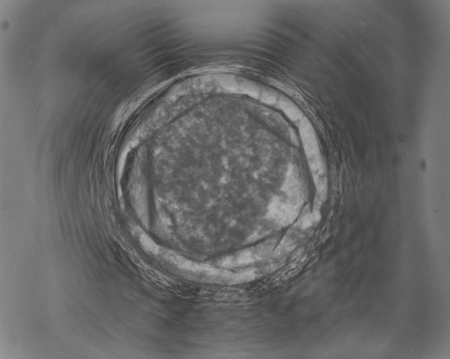 X0000067460337200605051627