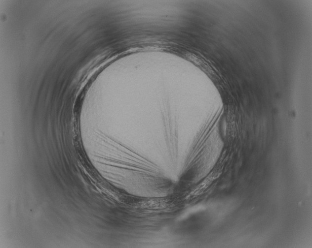 X0000067460338200605051627