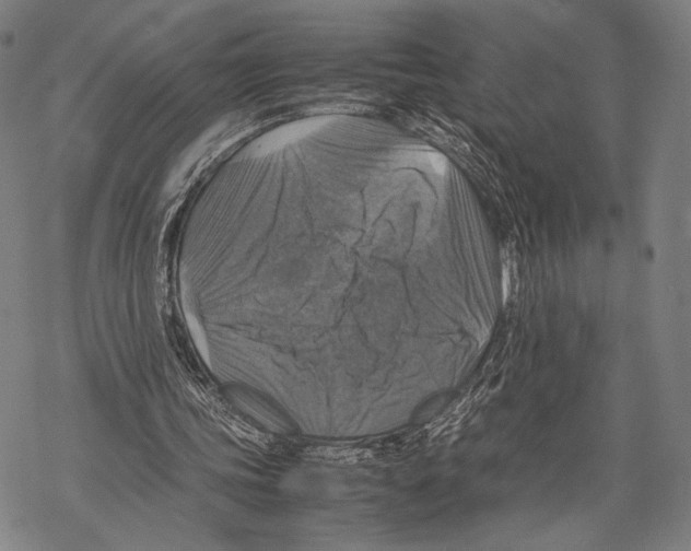 X0000067460339200605051627