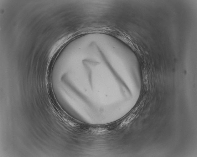 X0000067460340200605051627