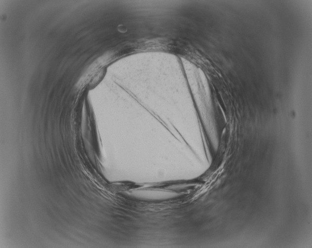 X0000067460341200605051627