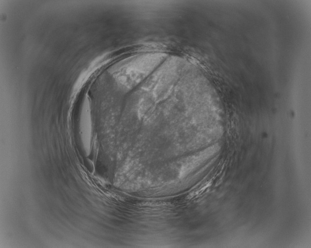 X0000067460343200605051627