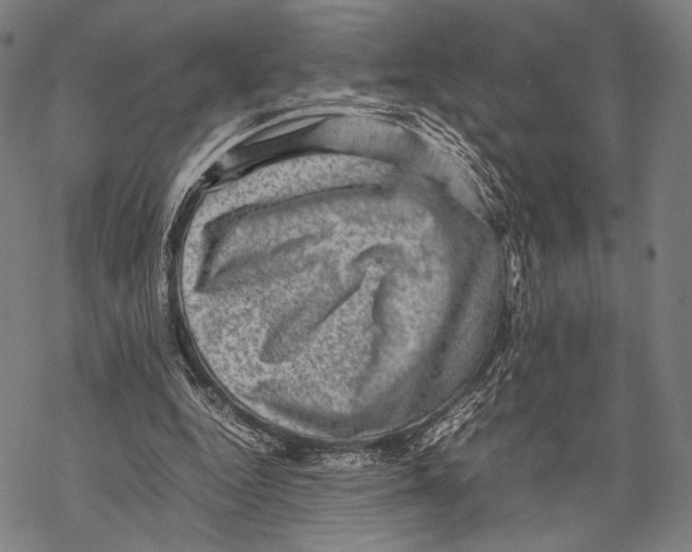 X0000067460344200605051627