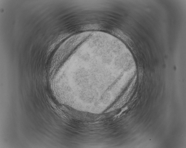 X0000067460345200605051627