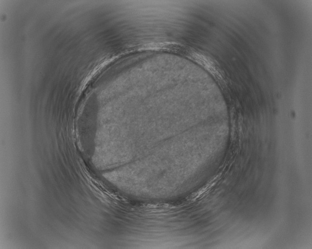 X0000067460346200605051627