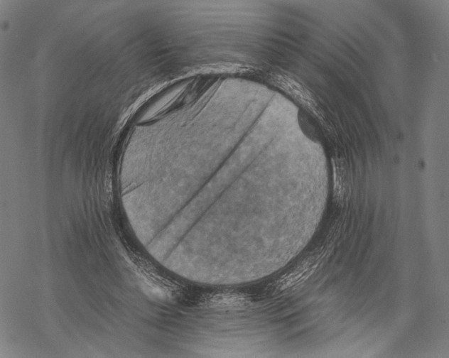 X0000067460348200605051627