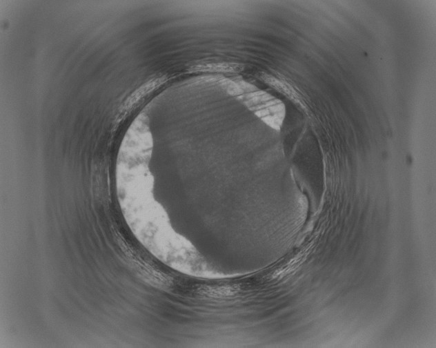 X0000067460349200605051627