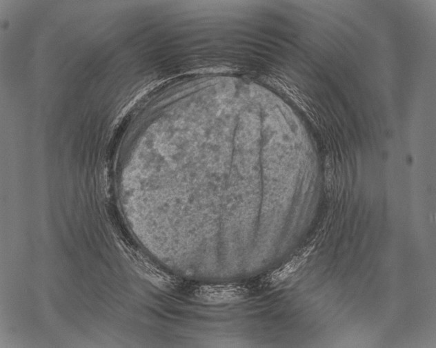 X0000067460351200605051627