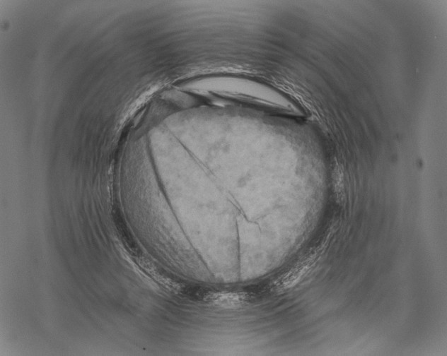 X0000067460352200605051627