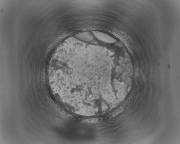 X0000067460353200605051627