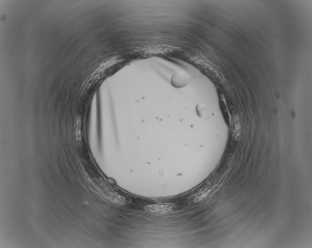 X0000067460356200605051627