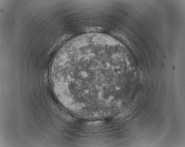 X0000067460357200605051627