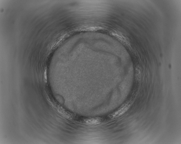 X0000067460358200605051627