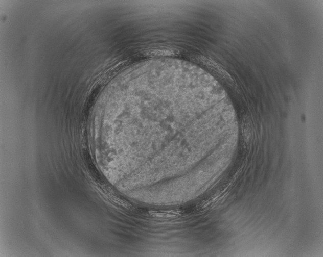 X0000067460359200605051627