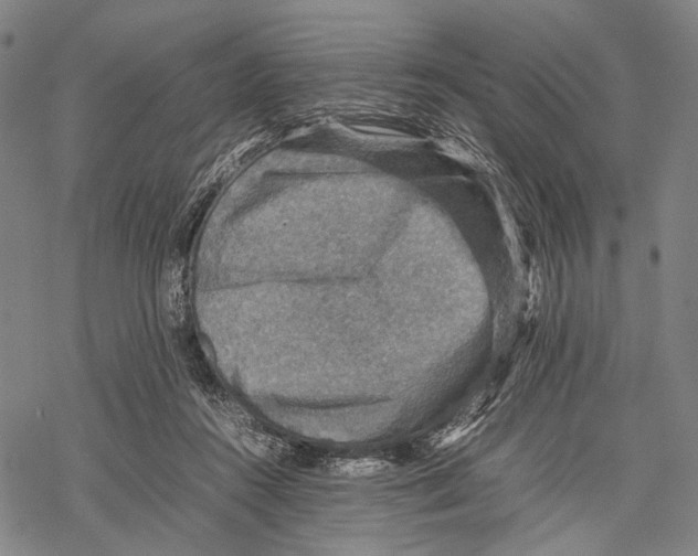 X0000067460360200605051628