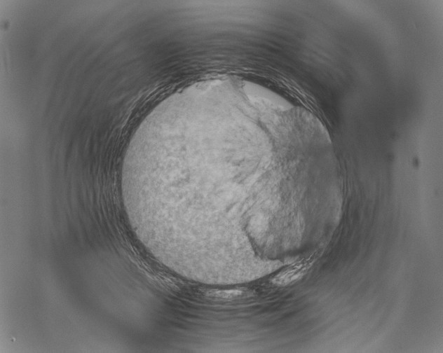 X0000067460361200605051628