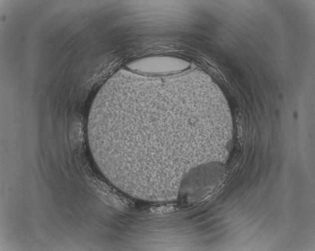 X0000067460362200605051628