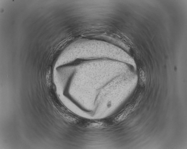 X0000067460364200605051628