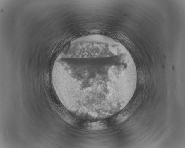 X0000067460365200605051628